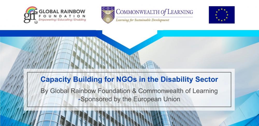 Capacity Building for NGOs in the Disability Sector